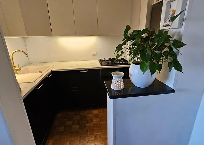 Green Deluxe Apartment